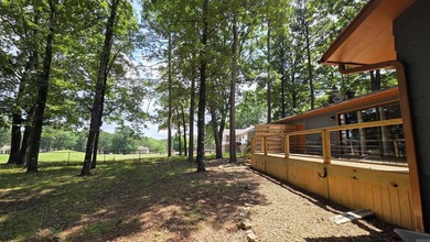 317 Castle Ridge Heights - Move-In Ready & Mostly Furnished! - photo 39