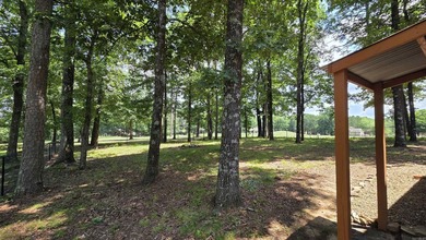 317 Castle Ridge Heights - Move-In Ready & Mostly Furnished! - photo 42