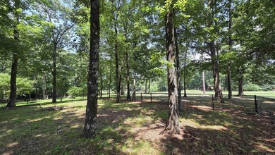 317 Castle Ridge Heights - Move-In Ready & Mostly Furnished! - photo 49