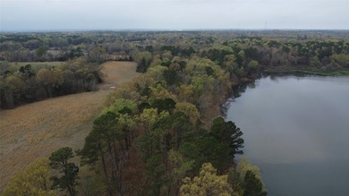 GENERAL DESCRIPTION: This 69-acre tract on Lake Bob Sandlin - photo 11