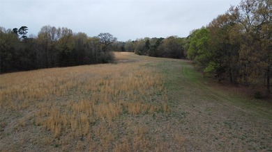 GENERAL DESCRIPTION: This 69-acre tract on Lake Bob Sandlin - photo 13