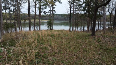 GENERAL DESCRIPTION: This 69-acre tract on Lake Bob Sandlin - photo 14