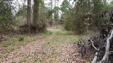 GENERAL DESCRIPTION: This 69-acre tract on Lake Bob Sandlin - photo 17