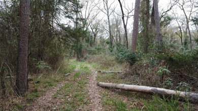 GENERAL DESCRIPTION: This 69-acre tract on Lake Bob Sandlin - photo 18