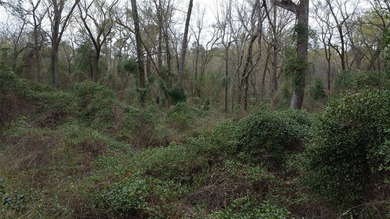 GENERAL DESCRIPTION: This 69-acre tract on Lake Bob Sandlin - photo 19