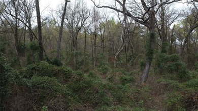 GENERAL DESCRIPTION: This 69-acre tract on Lake Bob Sandlin - photo 20