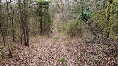 GENERAL DESCRIPTION: This 69-acre tract on Lake Bob Sandlin - photo 21