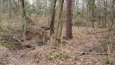 GENERAL DESCRIPTION: This 69-acre tract on Lake Bob Sandlin - photo 22