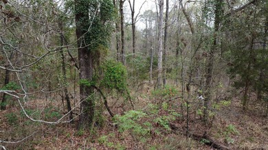 GENERAL DESCRIPTION: This 69-acre tract on Lake Bob Sandlin - photo 26