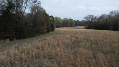 GENERAL DESCRIPTION: This 69-acre tract on Lake Bob Sandlin - photo 27