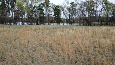 GENERAL DESCRIPTION: This 69-acre tract on Lake Bob Sandlin - photo 34