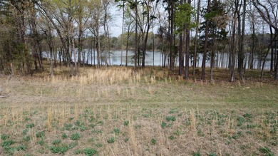 GENERAL DESCRIPTION: This 69-acre tract on Lake Bob Sandlin - photo 35