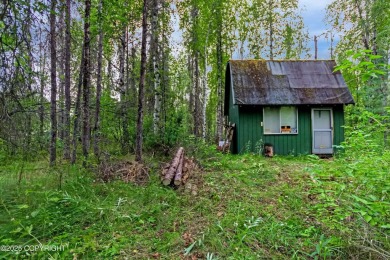 Lake Home For Sale in Willow, Alaska