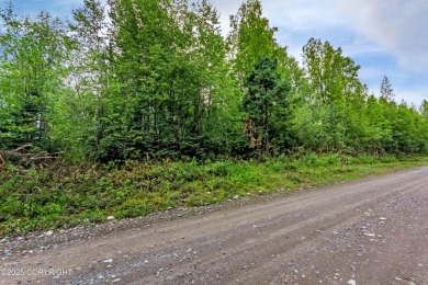 Lake Lot For Sale in Willow, Alaska