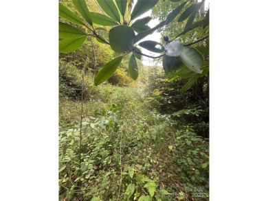 (private lake, pond, creek) Lot For Sale in Maggie Valley North Carolina