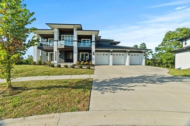 Sleek and sophisticated MODERN MASTERPIECE in one of Lemont's - photo 12