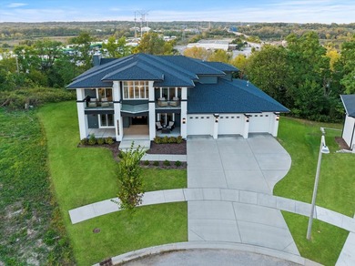 Sleek and sophisticated MODERN MASTERPIECE in one of Lemont's - photo 13