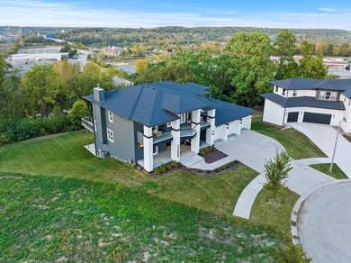 Sleek and sophisticated MODERN MASTERPIECE in one of Lemont's - photo 14