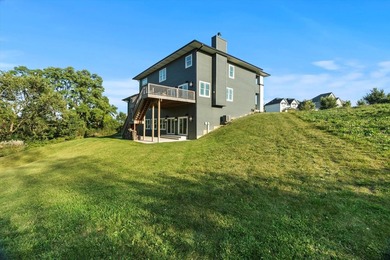 Sleek and sophisticated MODERN MASTERPIECE in one of Lemont's - photo 18
