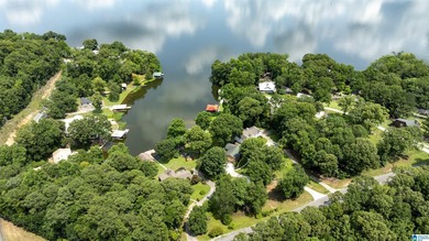 Great location, even better lake views! This move-in ready home - photo 3
