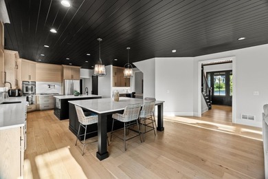 Sleek and sophisticated MODERN MASTERPIECE in one of Lemont's - photo 35