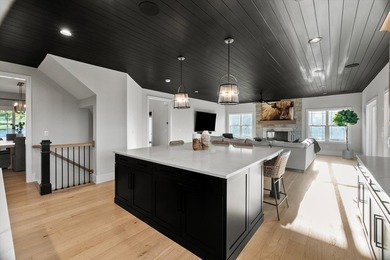 Sleek and sophisticated MODERN MASTERPIECE in one of Lemont's - photo 39