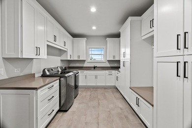 Sleek and sophisticated MODERN MASTERPIECE in one of Lemont's - photo 44