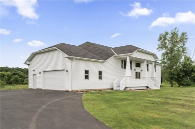 Lake Home For Sale in Wyanett Twp, Minnesota