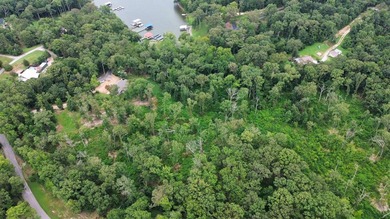 Unique waterfront property on Cypress Bay with 11.7 acres. 3 - photo 55