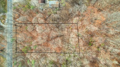 Kalamazoo River - Allegan County Lot For Sale in Allegan Michigan