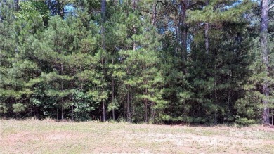 Lake Rhodhiss Lot For Sale in Connelly Springs North Carolina