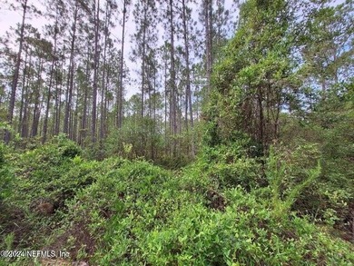 Lake George Lot For Sale in Georgetown Florida
