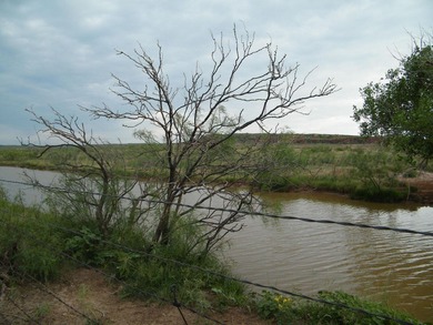 (private lake, pond, creek) Acreage For Sale in Valle de Oro Texas