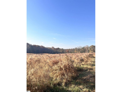 Lot 3 (refer to Aerial for additional parcels) Enjoy peaceful - photo 13