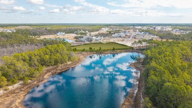 VERY UNIQUE BUILDING OPPORTUNITY in Watersound Camp Creek. Two - photo 21