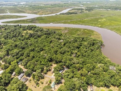 Deepwater Lot #4-A on a high bluff on Cathead Creek in Darien - photo 7