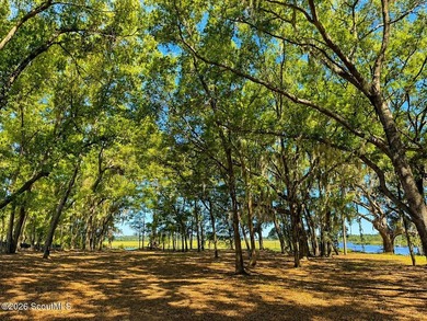 Deepwater Lot #4-A on a high bluff on Cathead Creek in Darien - photo 9