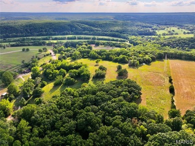 Lake Acreage Off Market in Unincorporated, Missouri