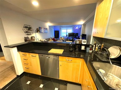 Absolutely Diamond Condition 1 Bedroom, 1 Bath Condo w/ Parking