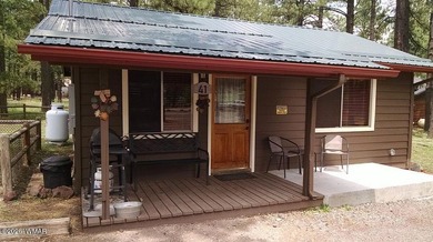 Lake Home For Sale in Greer, Arizona