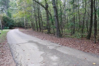 Lake Acreage For Sale in Madison, Mississippi