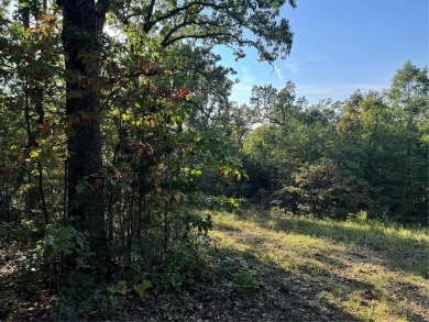 Lake Lot For Sale in Perryville, Missouri