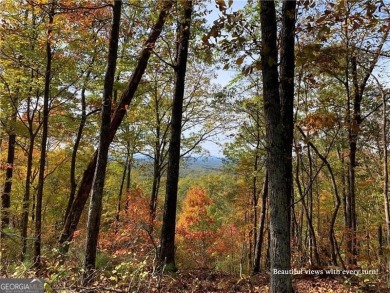 (private lake, pond, creek) Lot For Sale in Ranger Georgia