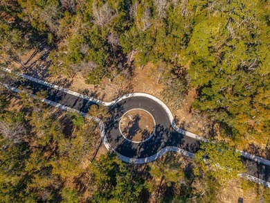 Welcome to The Canopy, a brand-new 25 lot development on - photo 7