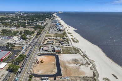 Waterfront Lots on Beach Blvd. Walk out to the Gulf from your - photo 3