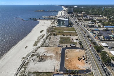 Waterfront Lots on Beach Blvd. Walk out to the Gulf from your - photo 6