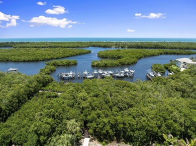 Completely renovated and move-in ready in desirable Pilots Cove - photo 28