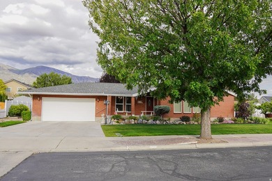 PRICE INCREASE DUE TO ADDING ADDITIONAL LOT TO LISTING. Home has - photo 1