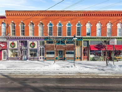 Cayuga Lake Commercial For Sale in Trumansburg New York