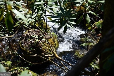 Lake Acreage For Sale in Scaly Mtn, North Carolina